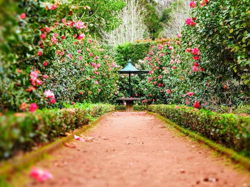 Professional landscaping services Bay Area